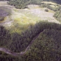 Colour aerial photograph of winding brook and trees