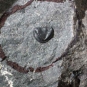 Image couleur de roche grise avec cercle rouge et petite bosse noire