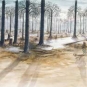 Aquarelle de grands arbres au clair de lune