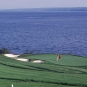 Colour photograph of green grass with spots white sand with the blue ocean behind