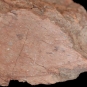 Image couleur d’une roche brun clair