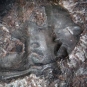 Colour image of brown rock with three fossilized bumps