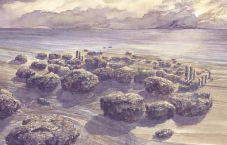 Colour image with sky, water, and round plants