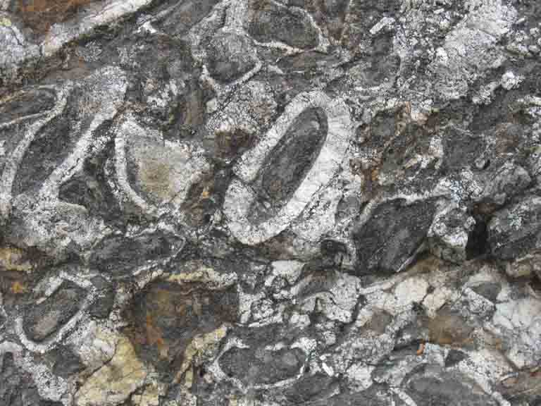Colour photograph of a large gray rock boulder with white circles on it