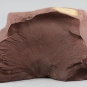 Image couleur d’une roche brune