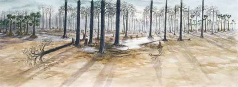 Watercolour painting of tall trees in the moonlight